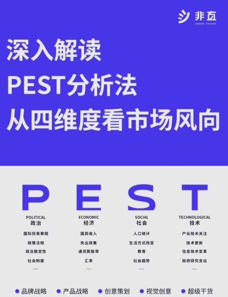 软件行业pest分析怎么做_软件企业如何应对政策风险