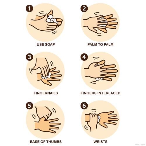 洗手用什么肥皂好_正确洗手步骤有哪些