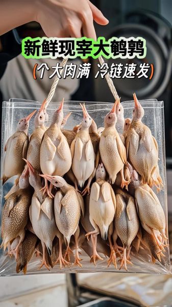 鹌鹑养殖赚钱吗_鹌鹑养殖成本和利润