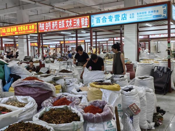 中药材市场前景怎么样_中药材行业投资方向