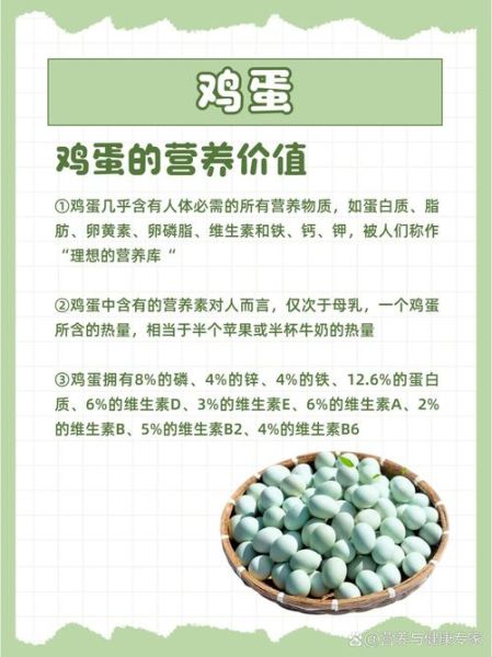 鸡蛋的营养价值有哪些_鸡蛋未来市场前景如何