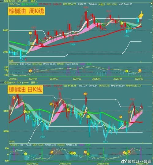 棕榈油价格走势分析_棕榈油期货投资技巧