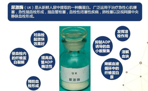 尿激酶前景如何_尿激酶市场潜力有多大
