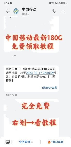 2024中国移动互联网流量怎么获取_手机端SEO优化技巧