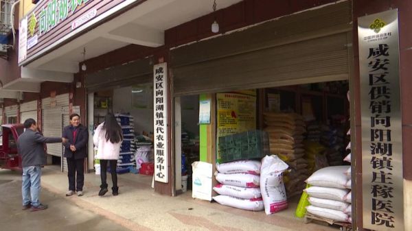 粮食供销企业如何提升盈利_粮食供销企业未来发展趋势