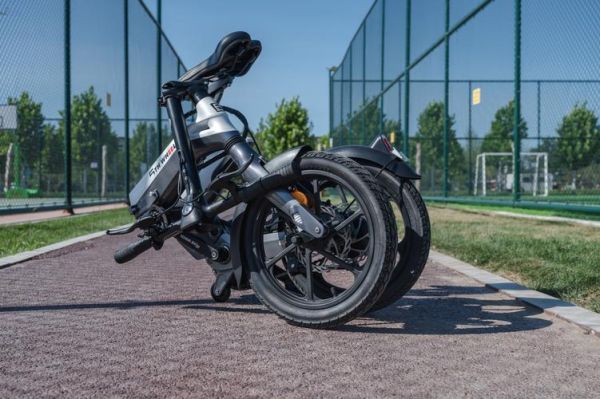 电踏车市场前景怎么样_电踏车值得投资吗