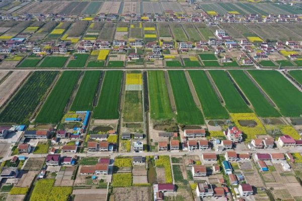 鸡东县前景怎么样_鸡东县未来发展方向