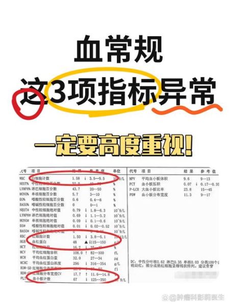 医学检验报告多久能出结果_如何看懂血常规指标