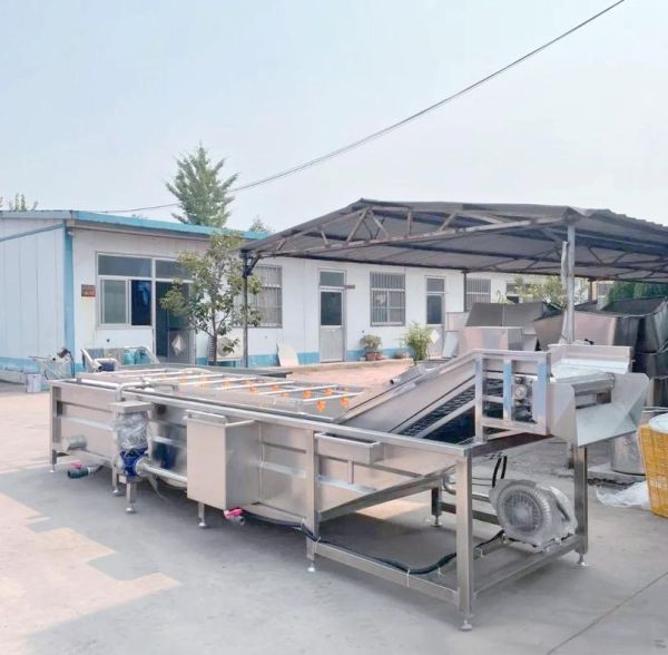 脱水蔬菜前景怎么样_脱水蔬菜市场有多大