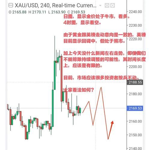 黄金还会涨吗_2024年黄金投资前景