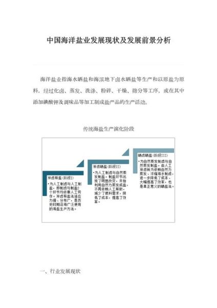 盐业前景怎么样_盐业未来发展趋势