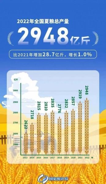 粮食价格波动风险_粮食供应链中断怎么办