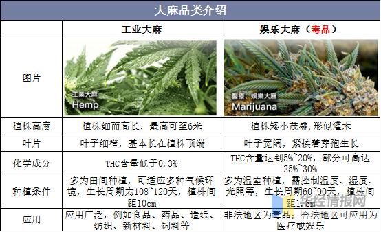 大麻行业合法化前景_投资风险有哪些