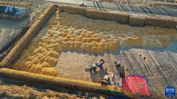 秸秆综合利用有哪些赚钱模式_秸秆还田好还是离田好