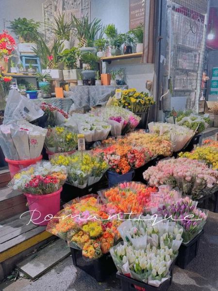 礼花行业前景怎么样_礼花生意赚钱吗