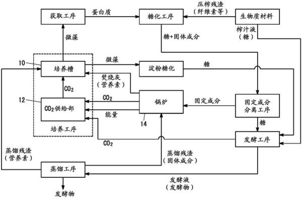 微藻市场前景如何_微藻产业投资机会在哪