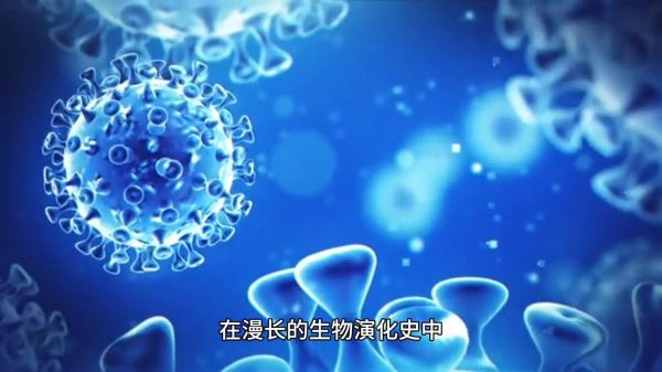 始祖鸟前景怎么样_始祖鸟未来趋势