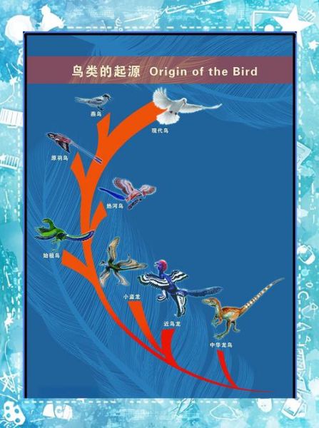 始祖鸟前景怎么样_始祖鸟未来趋势