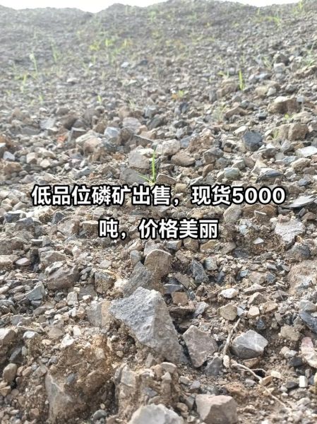 磷矿石价格走势_磷矿石用途有哪些