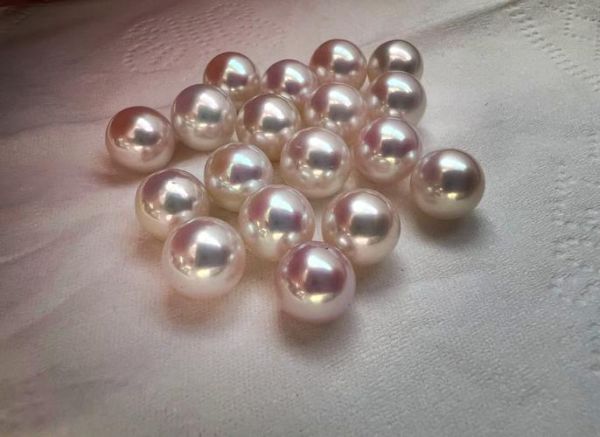 珍珠养殖前景怎么样_2024年还能赚钱吗