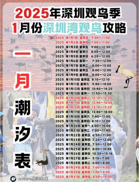 潮汐前景怎么样_2025年潮汐能市场机会