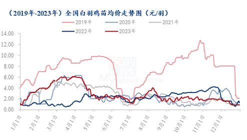 肉鸡养殖前景怎么样_2024年还能赚钱吗
