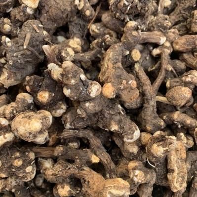 苍术种植前景如何_苍术价格走势2024