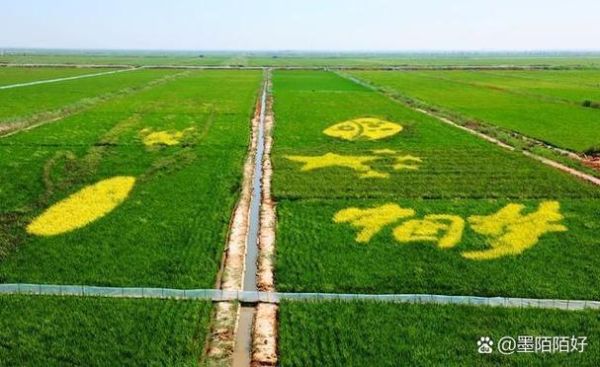 东北发展前景怎么样_东北振兴有哪些新机遇