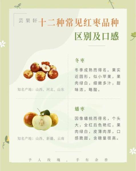 红枣种植前景怎么样_红枣深加工有哪些商机