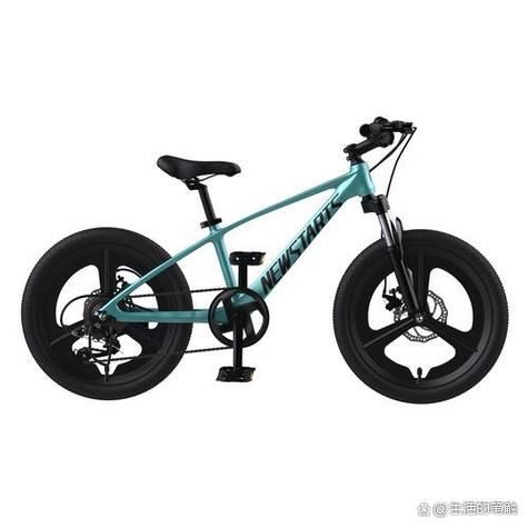 自行车市场前景如何_2024年值得投资吗