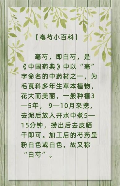 白芍种植前景怎么样_白芍未来五年价格走势