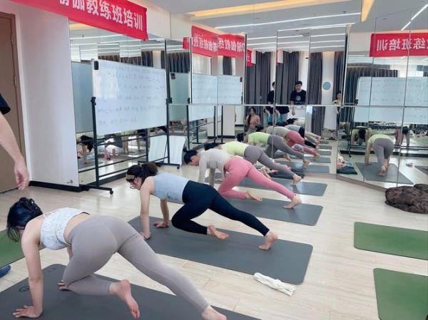 瑜伽行业发展前景如何_瑜伽教练未来赚钱吗