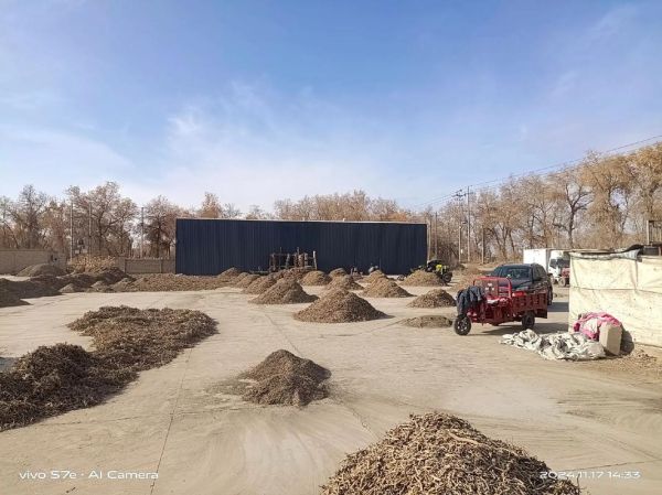 2017年板蓝根价格走势_板蓝根种植前景怎么样