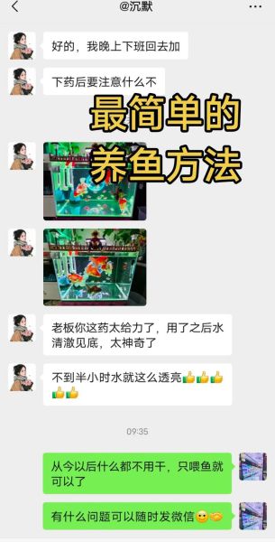 水族行业前景怎么样_新手如何入门水族创业