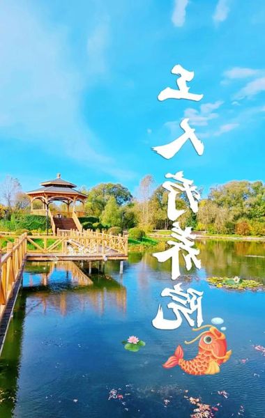 疗养院值得投资吗_疗养院未来前景如何