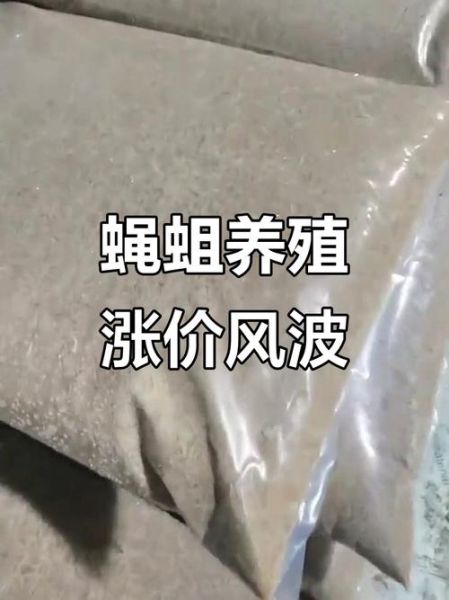 蝇蛆养殖赚钱吗_蝇蛆市场前景怎么样