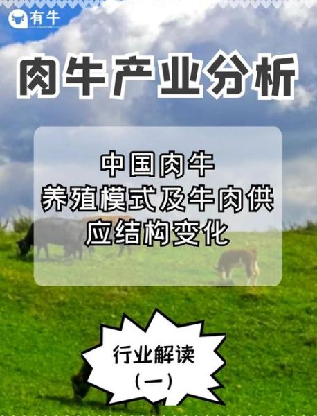 中国养牛前景怎么样_2025年养牛赚钱吗