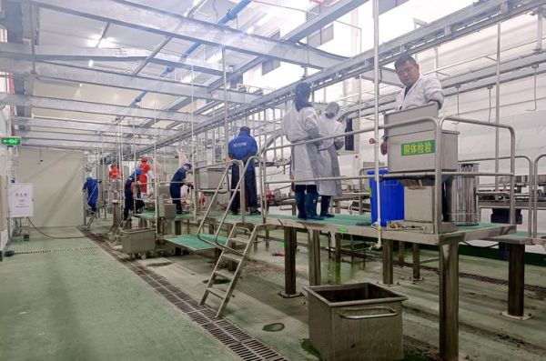 屠宰行业前景怎么样_屠宰场投资成本与利润