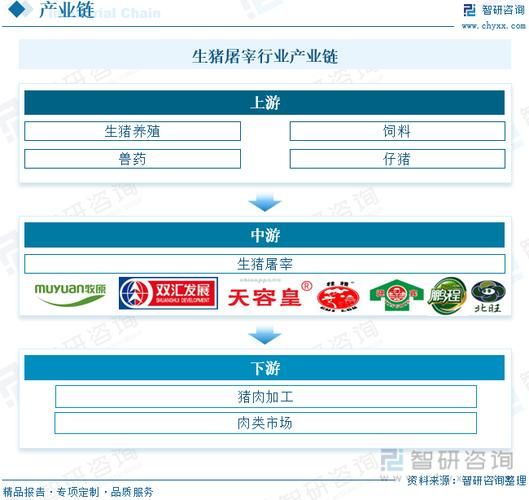 屠宰行业前景怎么样_屠宰场投资成本与利润