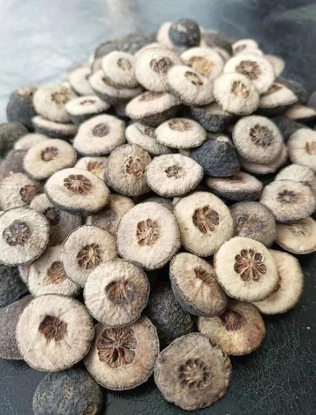 种枳实前景怎么样_枳实种植赚钱吗