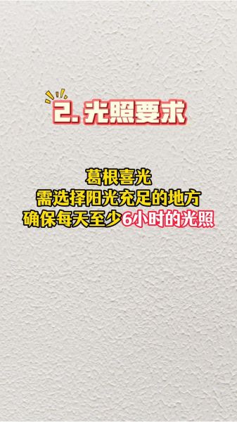 葛根市场前景怎么样_葛根种植赚钱吗