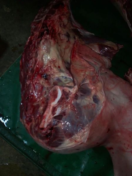 驴肉市场前景怎么样_驴肉生意赚钱吗