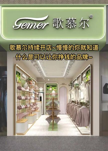 内衣市场前景怎么样_内衣加盟赚钱吗
