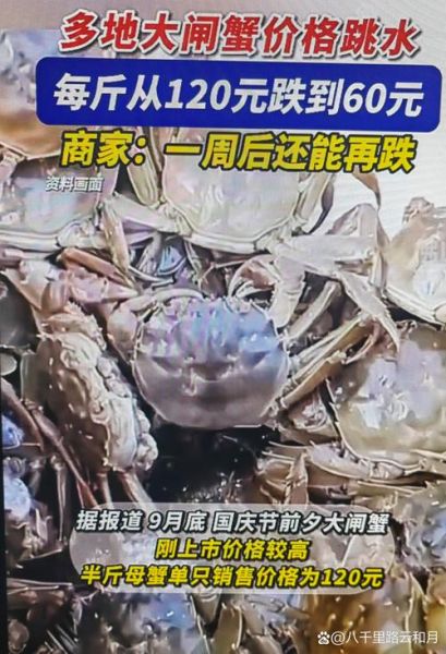 螃蟹养殖赚钱吗_2024年螃蟹价格走势