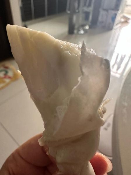 螃蟹养殖赚钱吗_2024年螃蟹价格走势