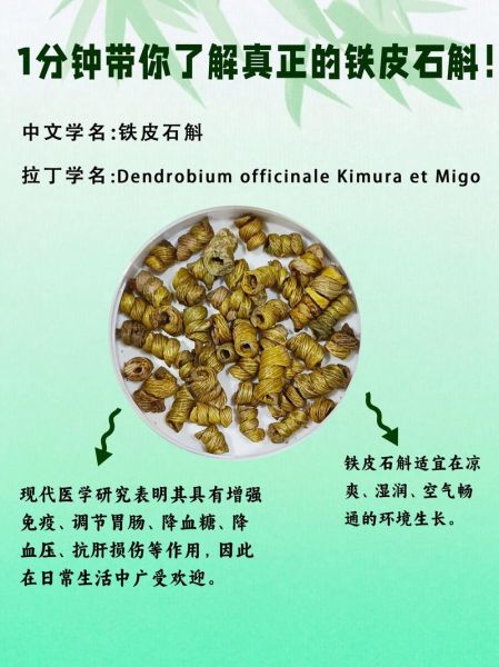 石斛多少钱一斤_石斛的功效与作用