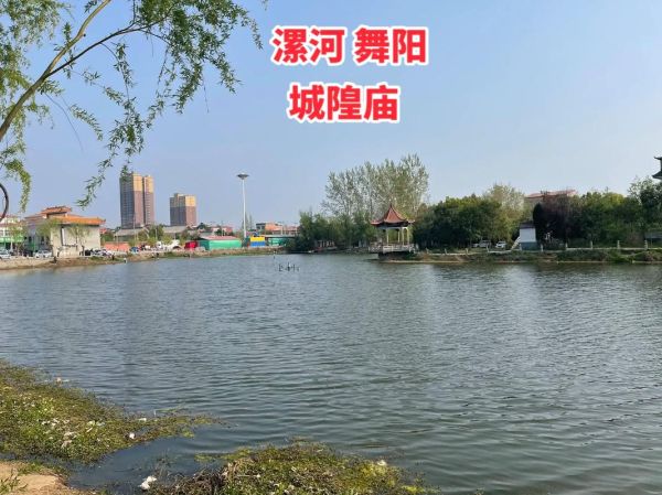 舞阳前景怎么样_舞阳未来发展潜力