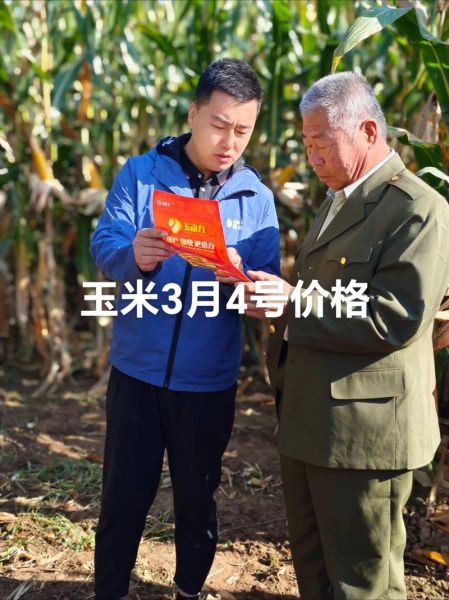 玉米种植前景怎么样_未来玉米价格走势如何