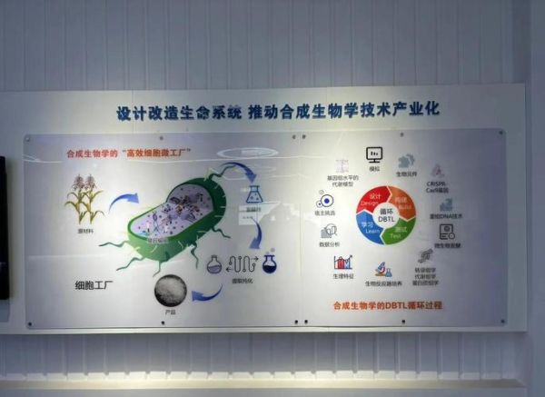 生物技术发展前景如何_未来十年最赚钱的应用场景