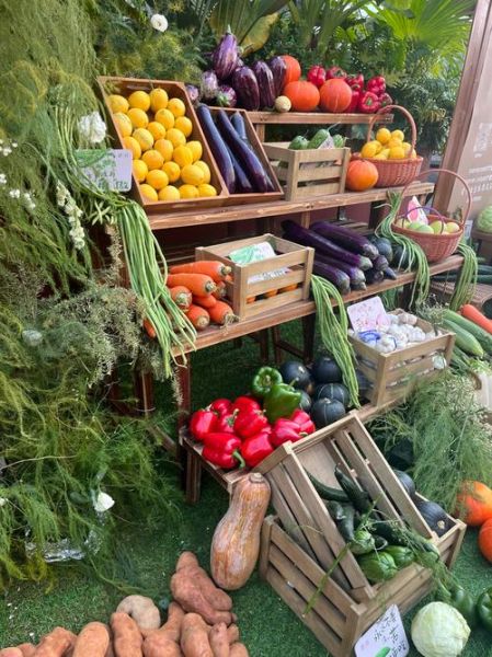 生态农业前景怎么样_生态农业赚钱吗